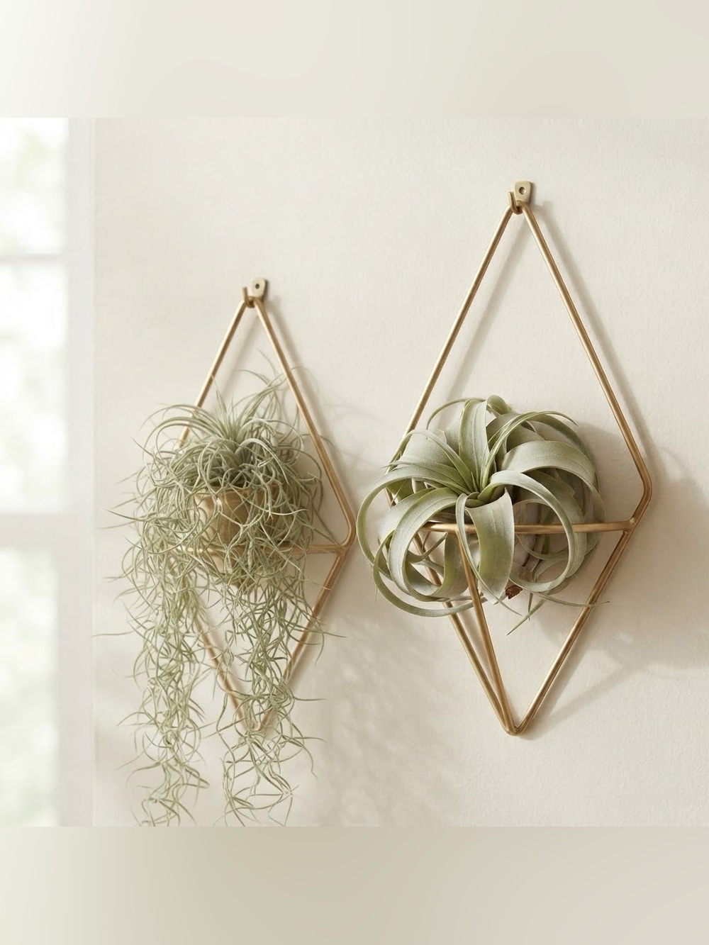 Umbra Geometric Gold Hanging Wall Planters Set of 2 Modern Metal Minimalist